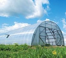 
            Теплица Фермерская 7,5 в г Фрязино