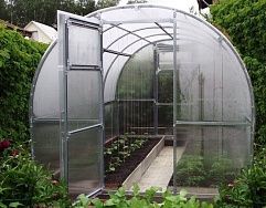 
            Теплица Садовая-ЦИНК в г Одинцово
