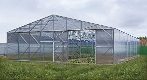 
            Теплица Фермерская 11,5 в г Фрязино